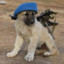 ProKangal