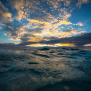 最是人间留不住