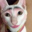 MIREK
