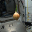 Space.Onion