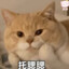 赤井秀一