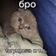 бро,ты умрёшь и тд