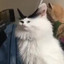 czikiflopaenjoyer