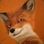 Mr__Fox