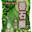 guangdonghongyuanfoodsco