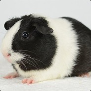 IRDP avatar