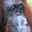 ApeMan