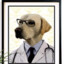 Dr DOG