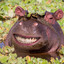 AHappyHippo