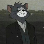 quattro sportback performance