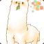 alpacalunch