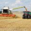 Combine harvester