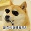 久经沙场曾婉芳