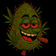 bUd