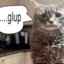 pop