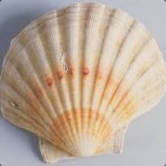 Ojude