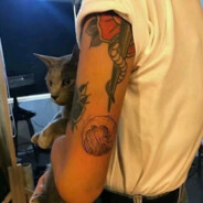 比奇堡恶霸派大星