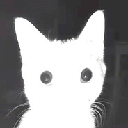 Miss click (po probely)