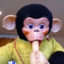 SOBASICLYIMCHIMP