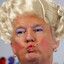 Donald Trans
