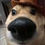Steam avatar