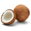 Coconut on steroid