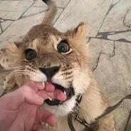 丢丢