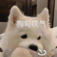 expert of charged rifle