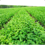 我是你爸爸小谢