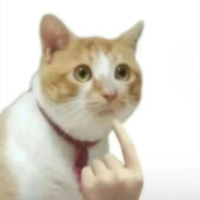 什么东西在说话