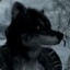 wolva