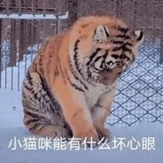 铝热剂手雷塞你皮燕子