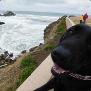 , 不要往心里去。