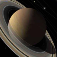 直奔牛肉去Rush to the beef