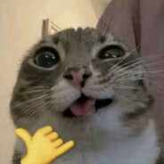 Donzip0te