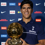 DepressedTottenhamFan