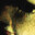 real's Avatar