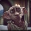 300.Dobby