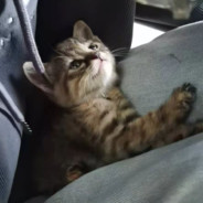 Appoint-『水淼』