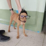 Guadaffem's Avatar