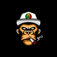King of the Bongo