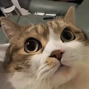 kukerek