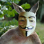 Anonymous Kangaroo