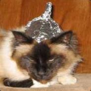 Wwv :D - steam id 76561197960268603