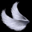 StarWings