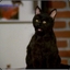 Salem Saberhagen