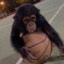 Monkey With Basketball *swish*