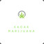 Kaçak Marijuana