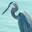 bird?