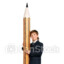 BIG PENCIL 52 NGG